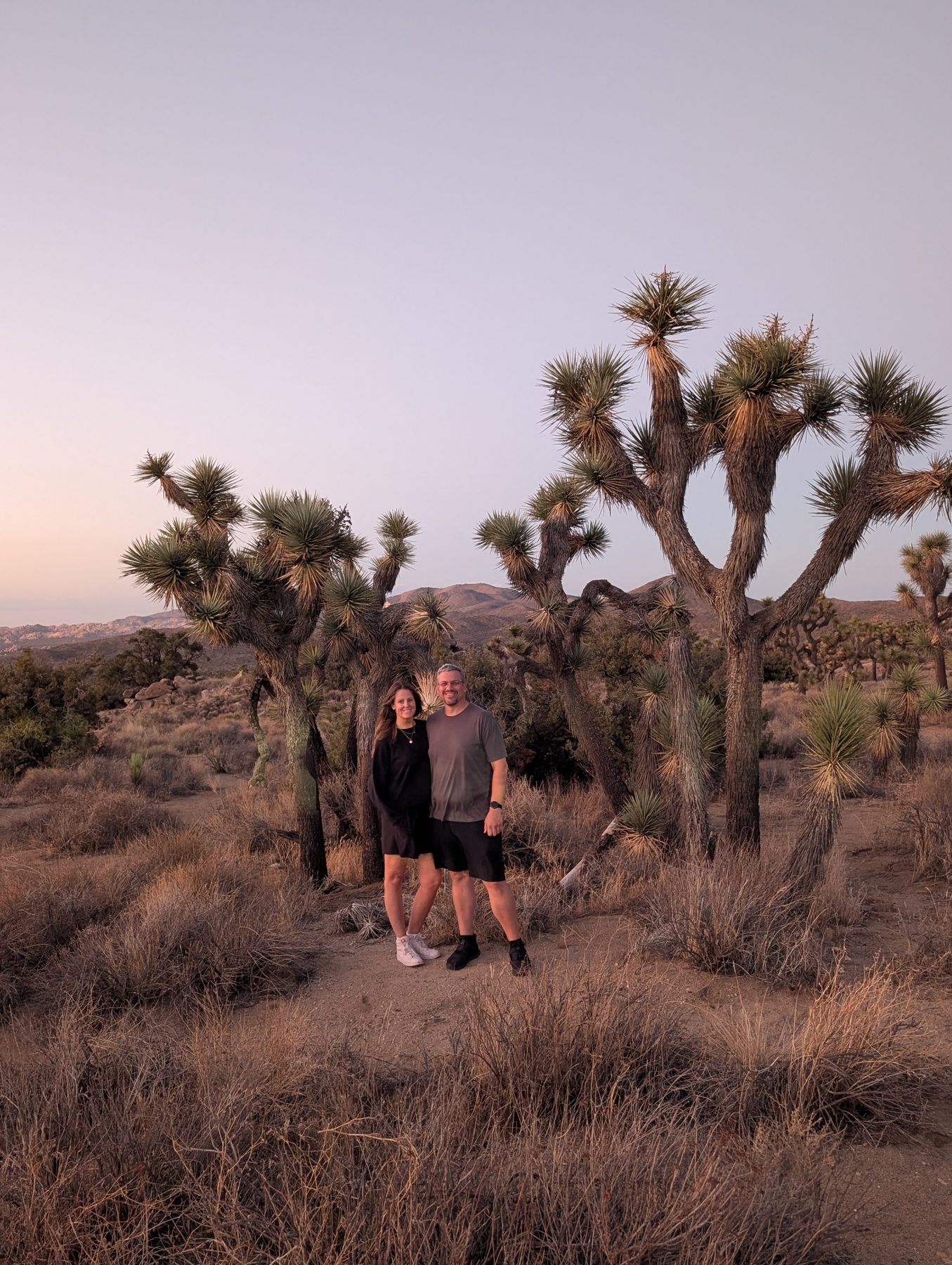 Stacey and Brad Shannon standing among Joshua trees at dusk.